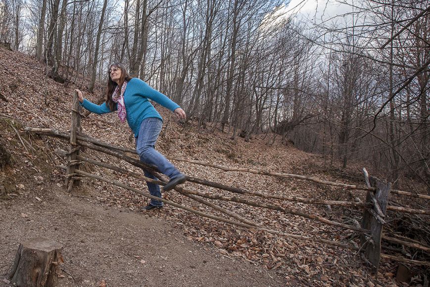 Encara hi ha algú al bosc