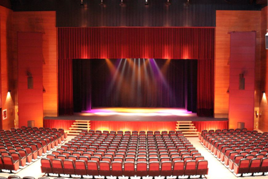 Platea Platea